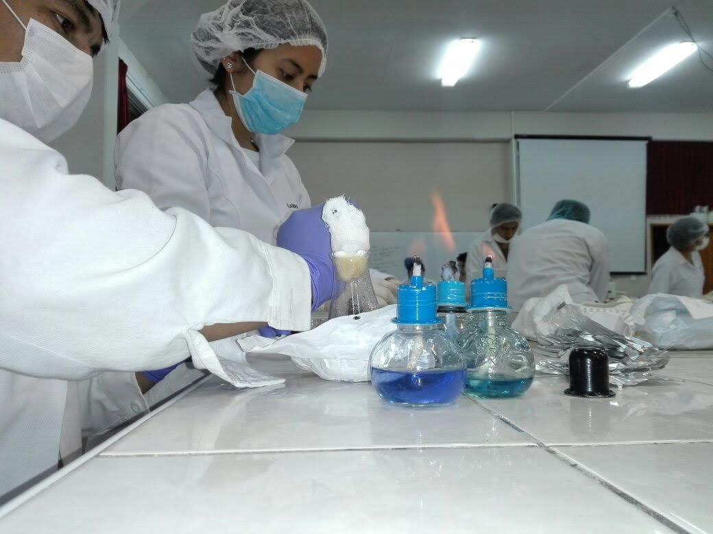 Trabajo en laboratorio de microbiología